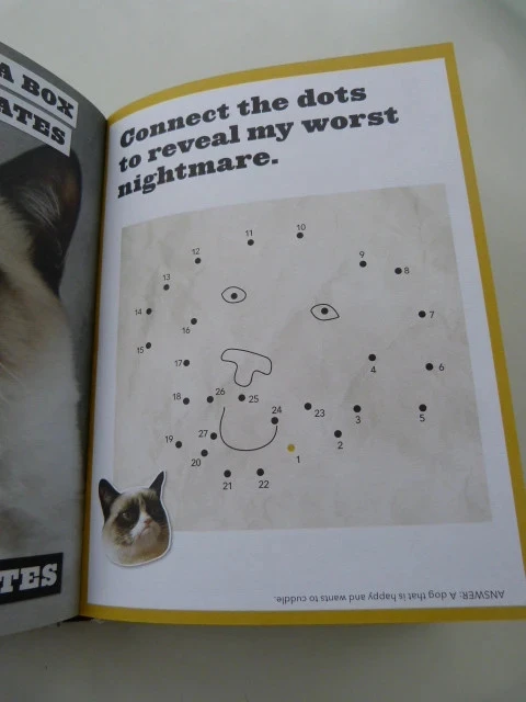 grumpy cat – photo 2
